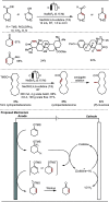 Scheme 37