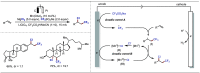 Scheme 48