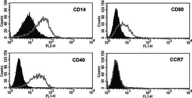 Fig. 2.