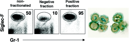 FIG. 8.