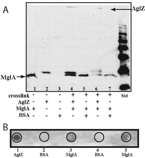 FIG. 7.