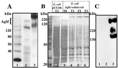 FIG. 5.