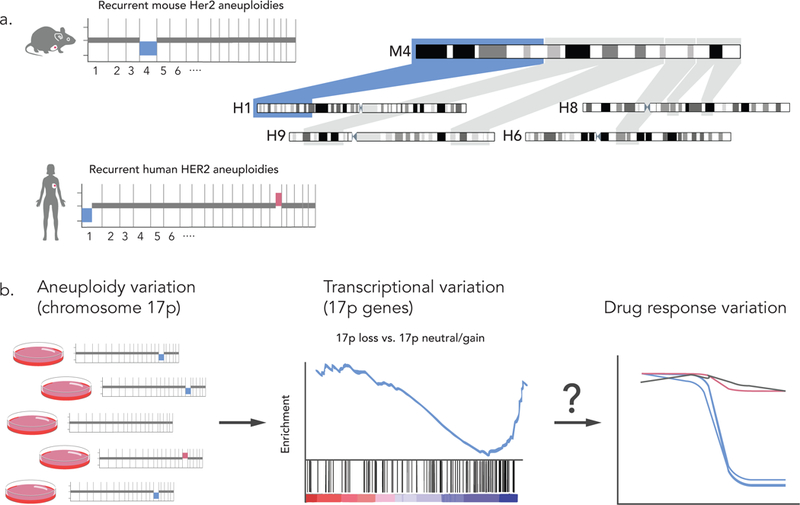 graphic file with name nihms-1011461-f0004.jpg