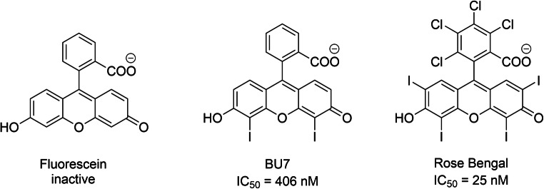 Scheme 8