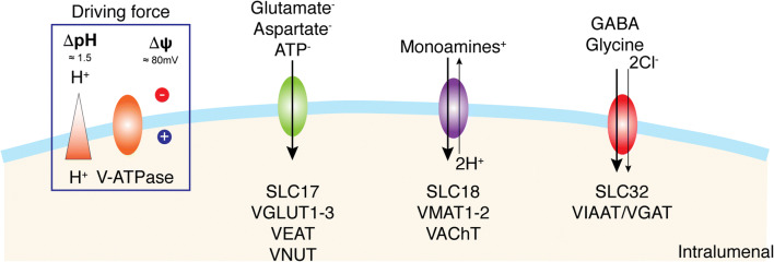 Fig. 1