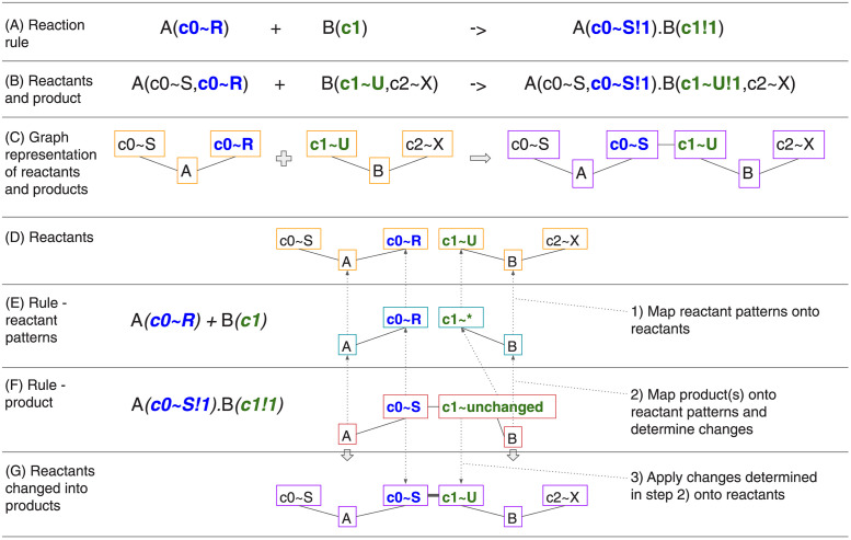 Fig 8