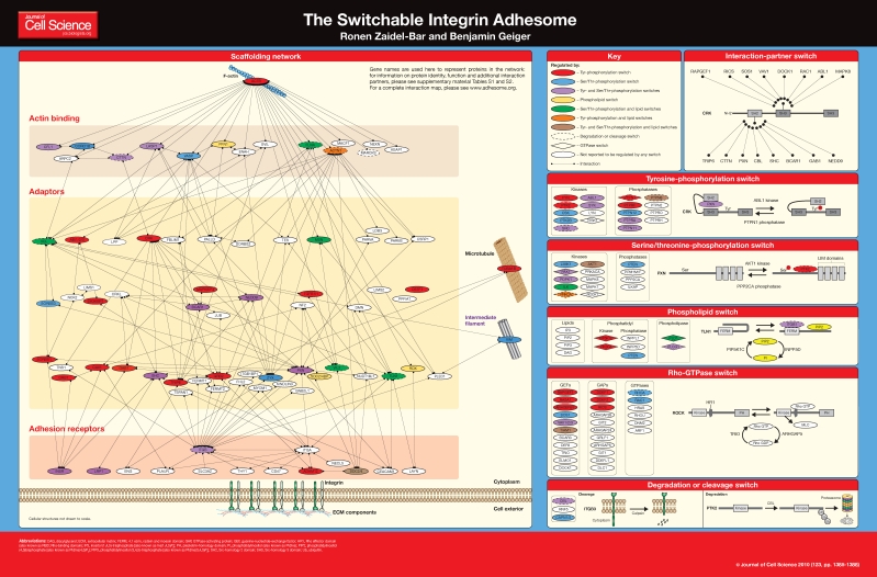 graphic file with name JCS066183.jpg