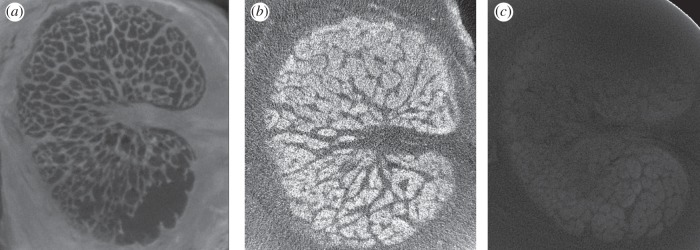 Figure 2.