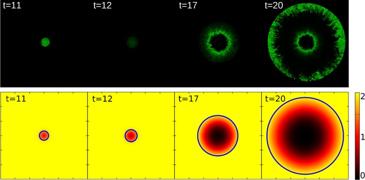 FIG 3 