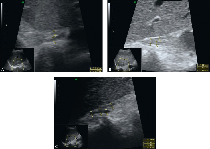 Fig. 7