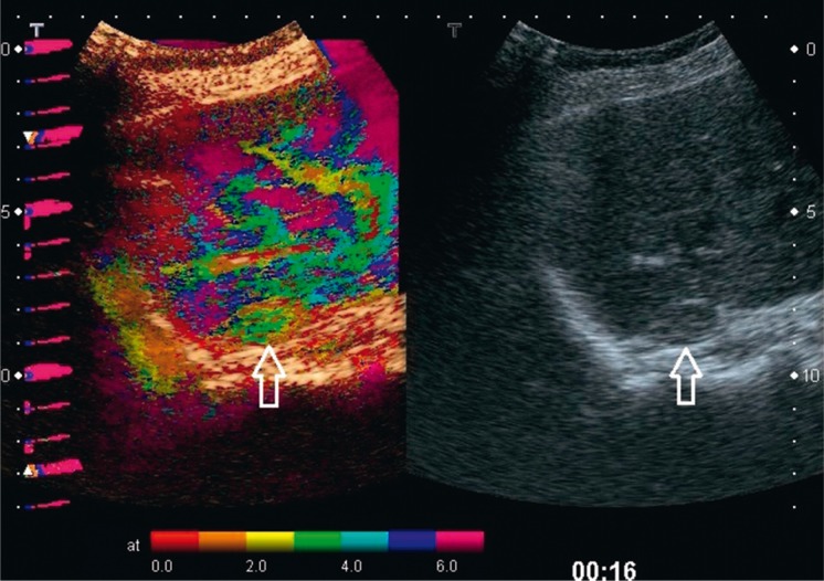 Fig. 6