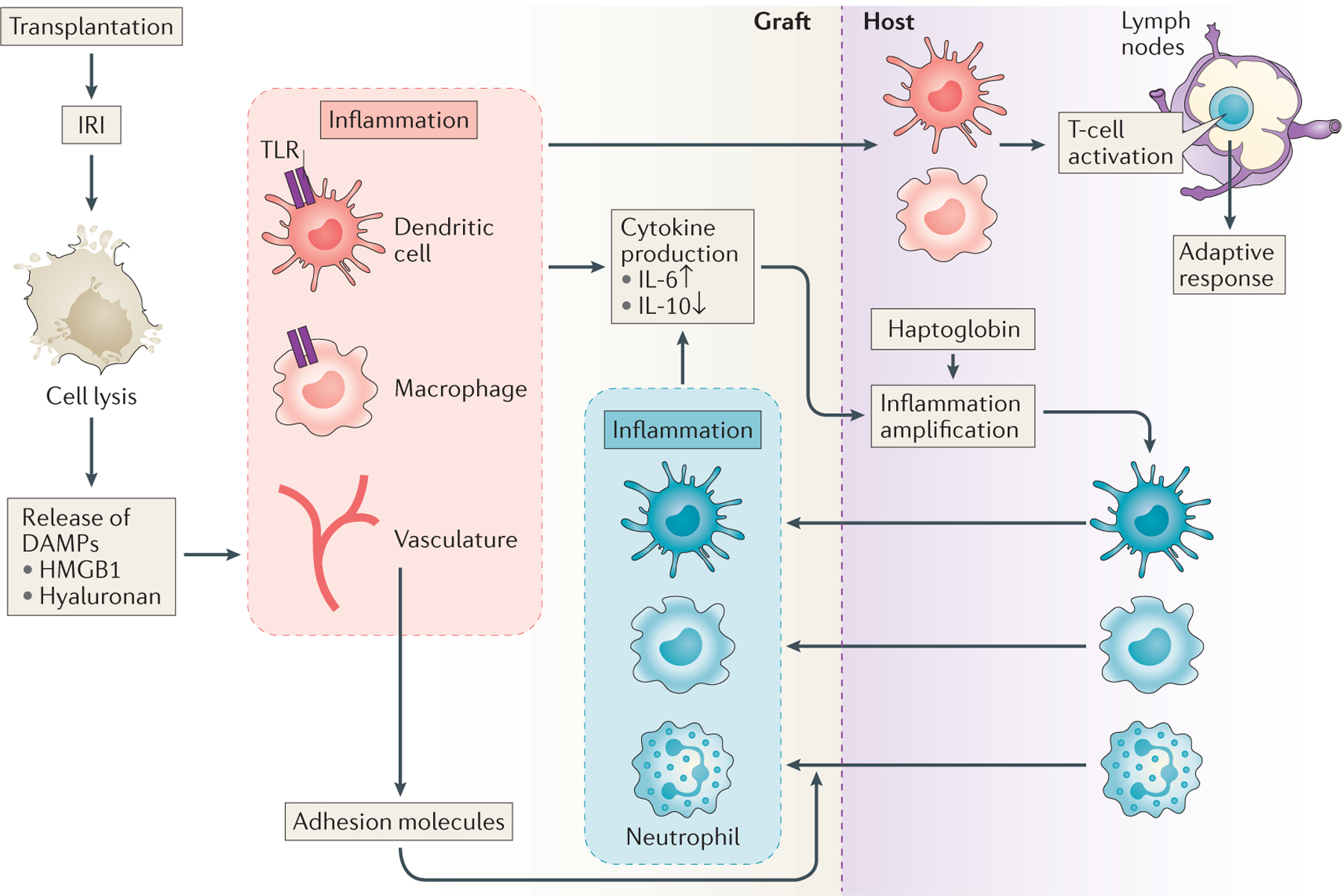 Figure 1 |