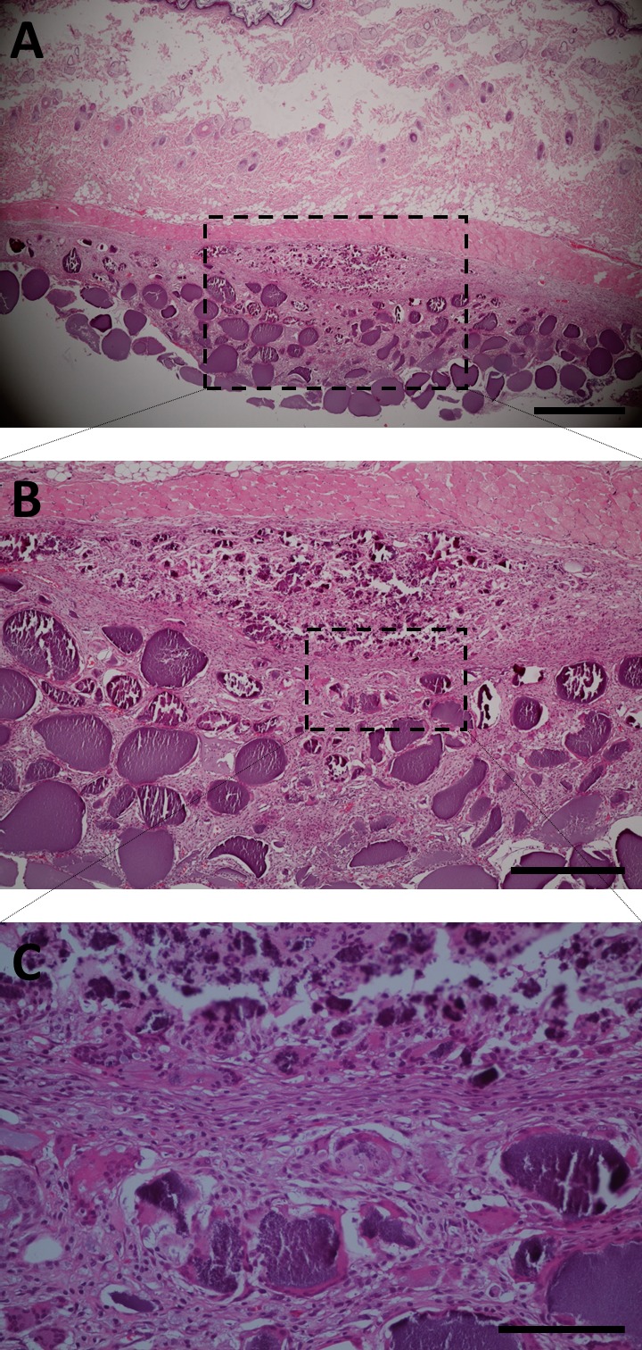 Fig. 3.