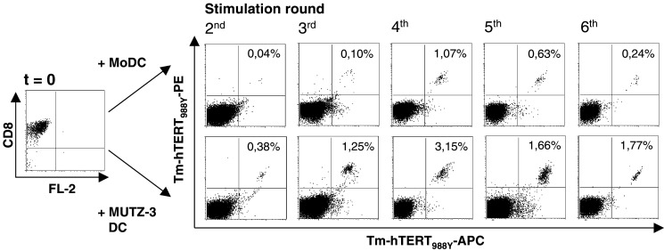 Fig. 2