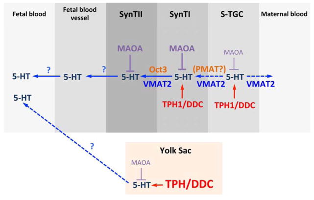 Fig 6