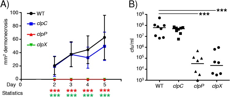 FIG 6