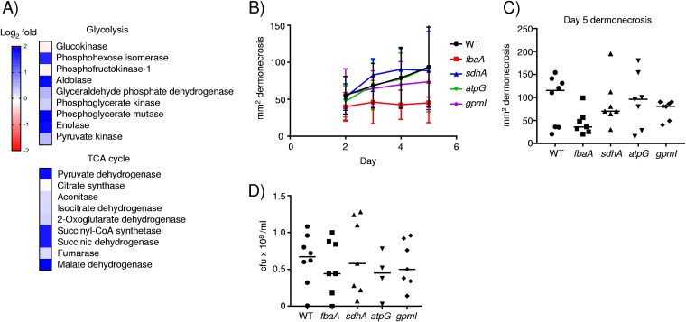 FIG 3