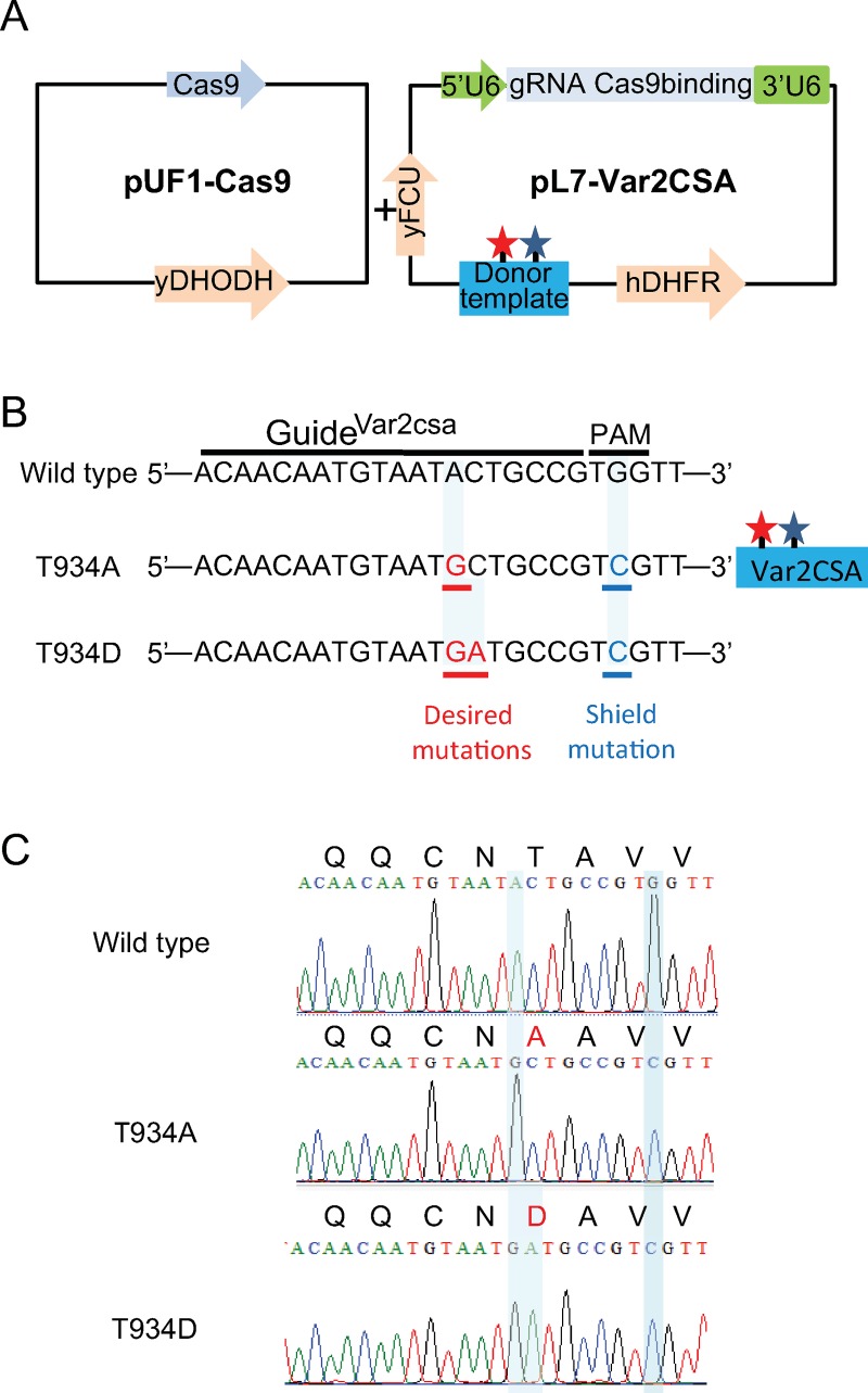 Fig 4