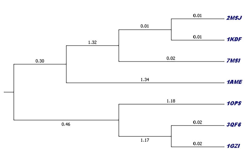 Fig. 12