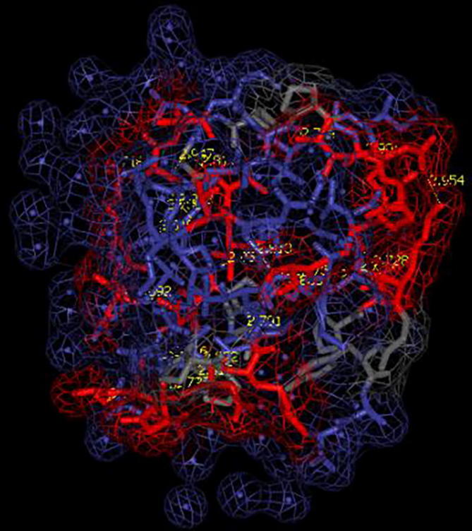 Fig. 10