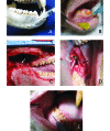 Figure 3.