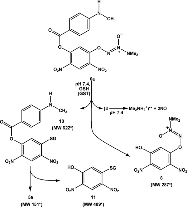 Scheme 4.