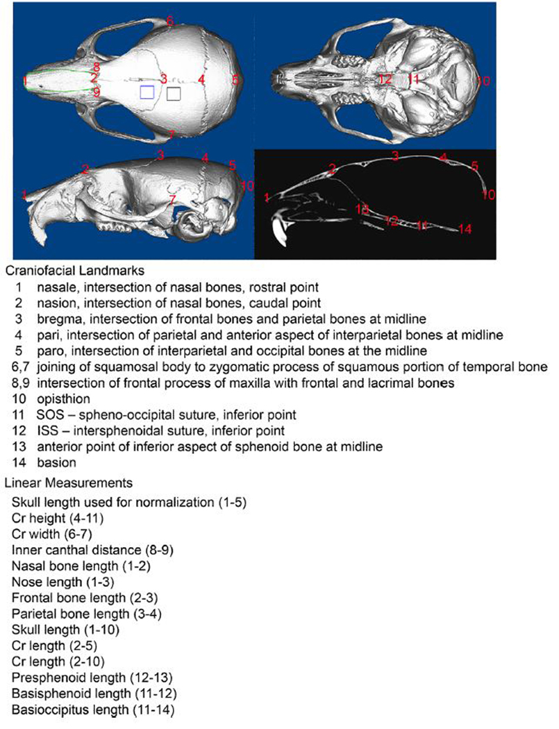 Figure 7.