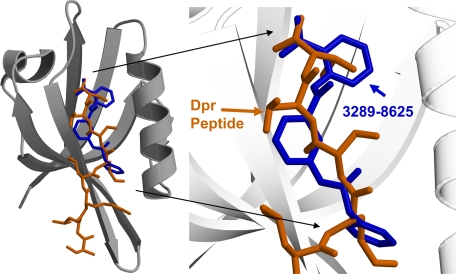 FIGURE 4.