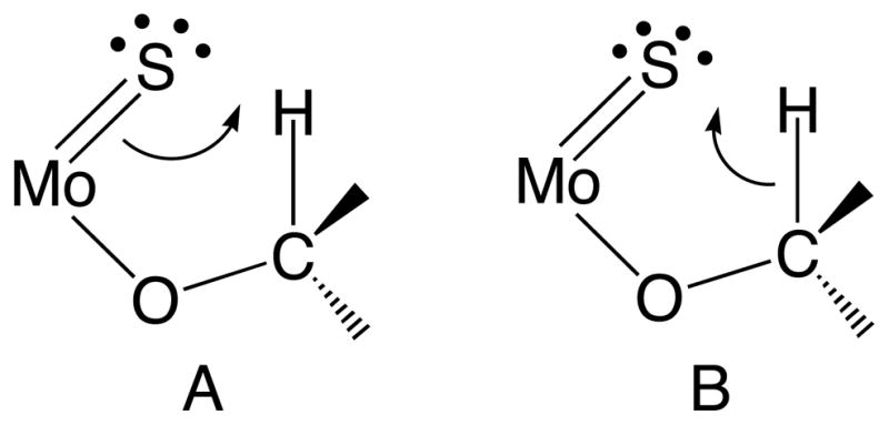 Figure 8