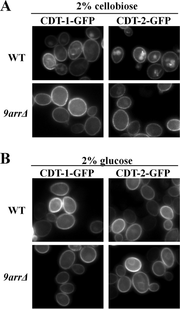 FIG 1