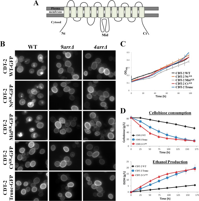 FIG 4