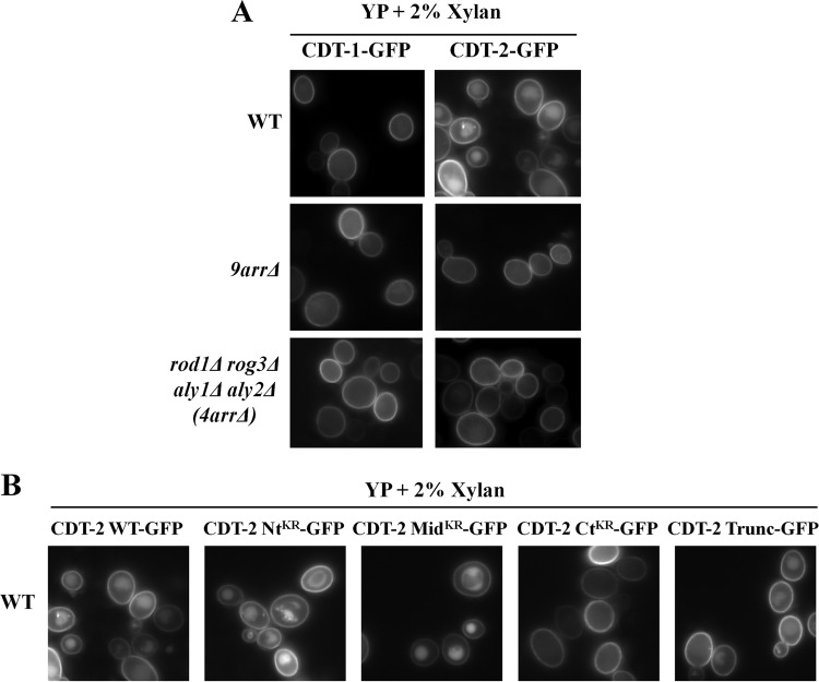 FIG 5