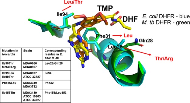 FIG 2