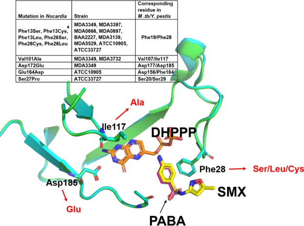 FIG 3