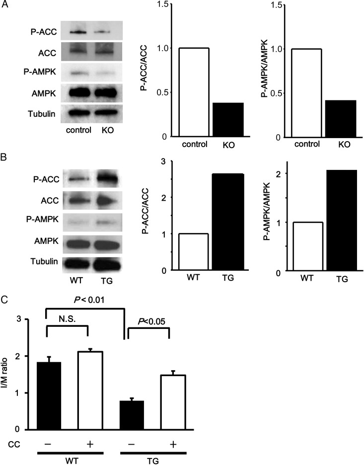 Figure 6