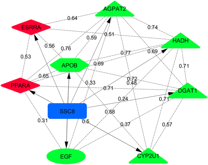 Figure 5