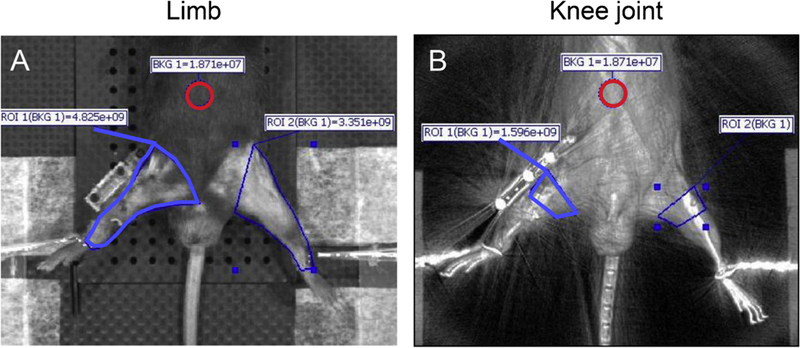 Figure 4.