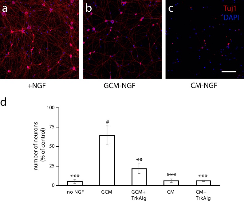 Fig 8