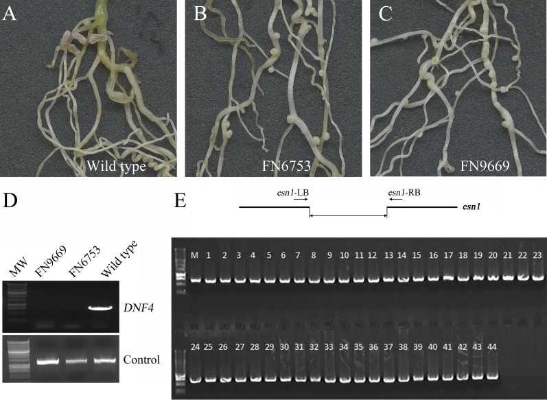 Fig. S3.