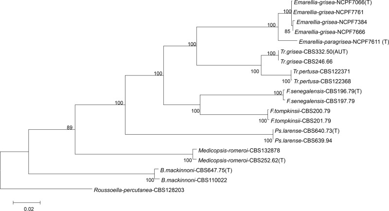 FIG 2