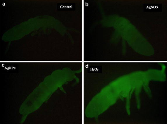 Fig. 4