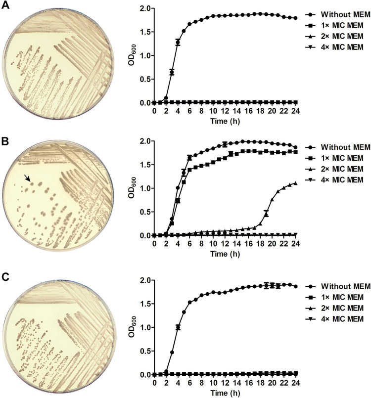 FIG 3