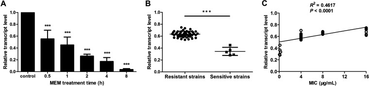 FIG 2