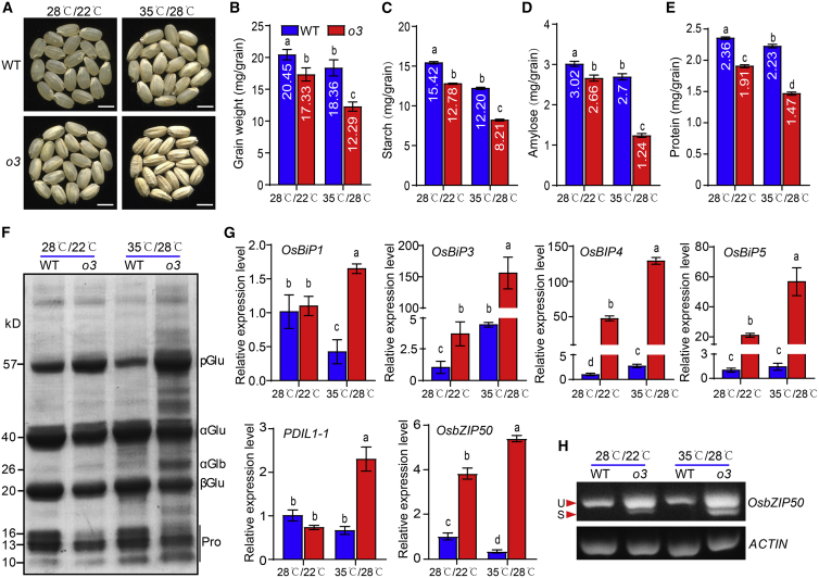 Figure 6