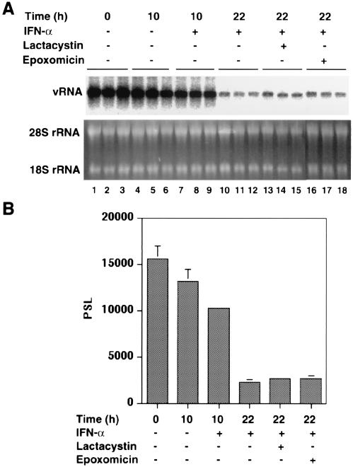 FIG. 9.