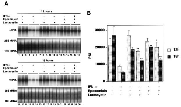 FIG. 8.