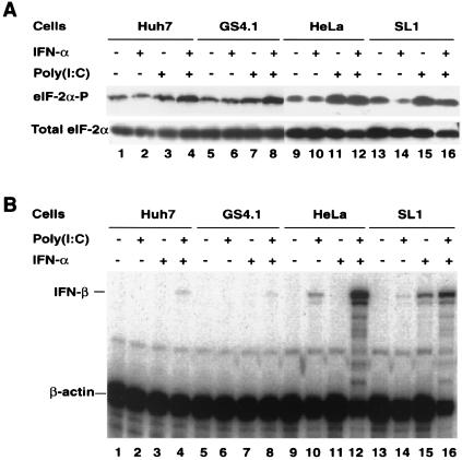 FIG. 6.