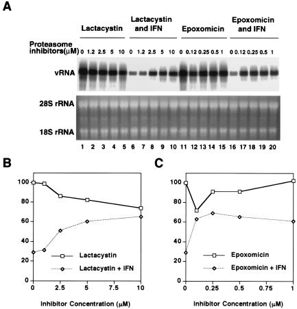 FIG. 7.