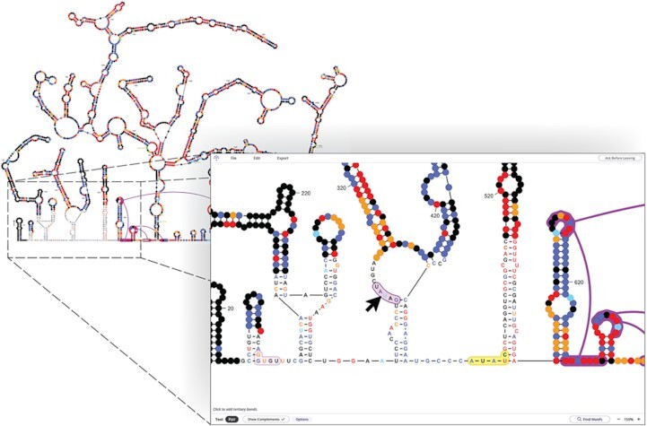 Graphical Abstract