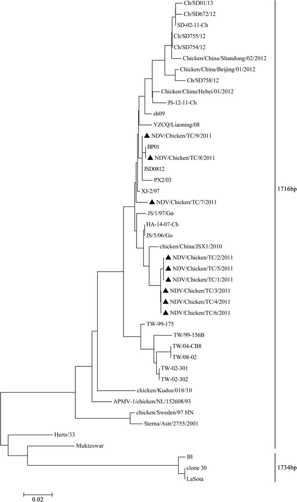 Fig. 2